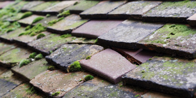 Leverington roof repair costs